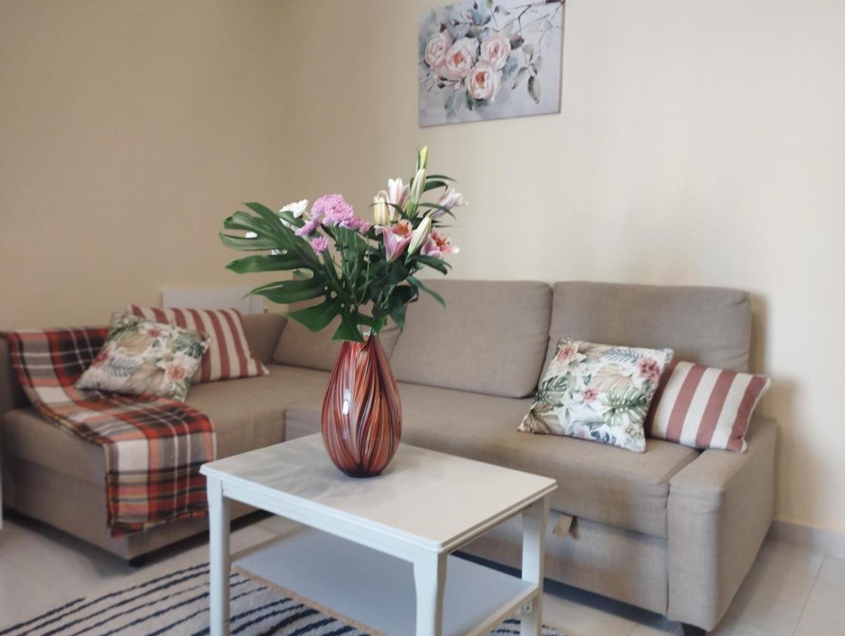 Apartment Spacious La Mata Pool&beach *