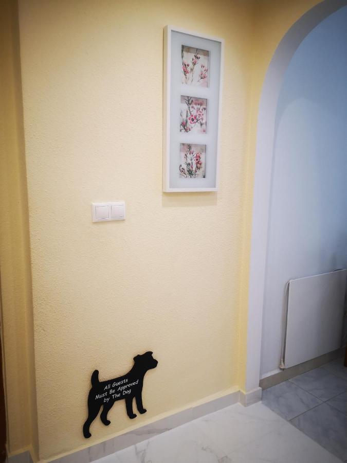 Spacious La Mata Pool&beach Apartament *