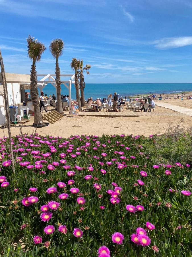 Spacious La Mata Pool&beach Apartament
